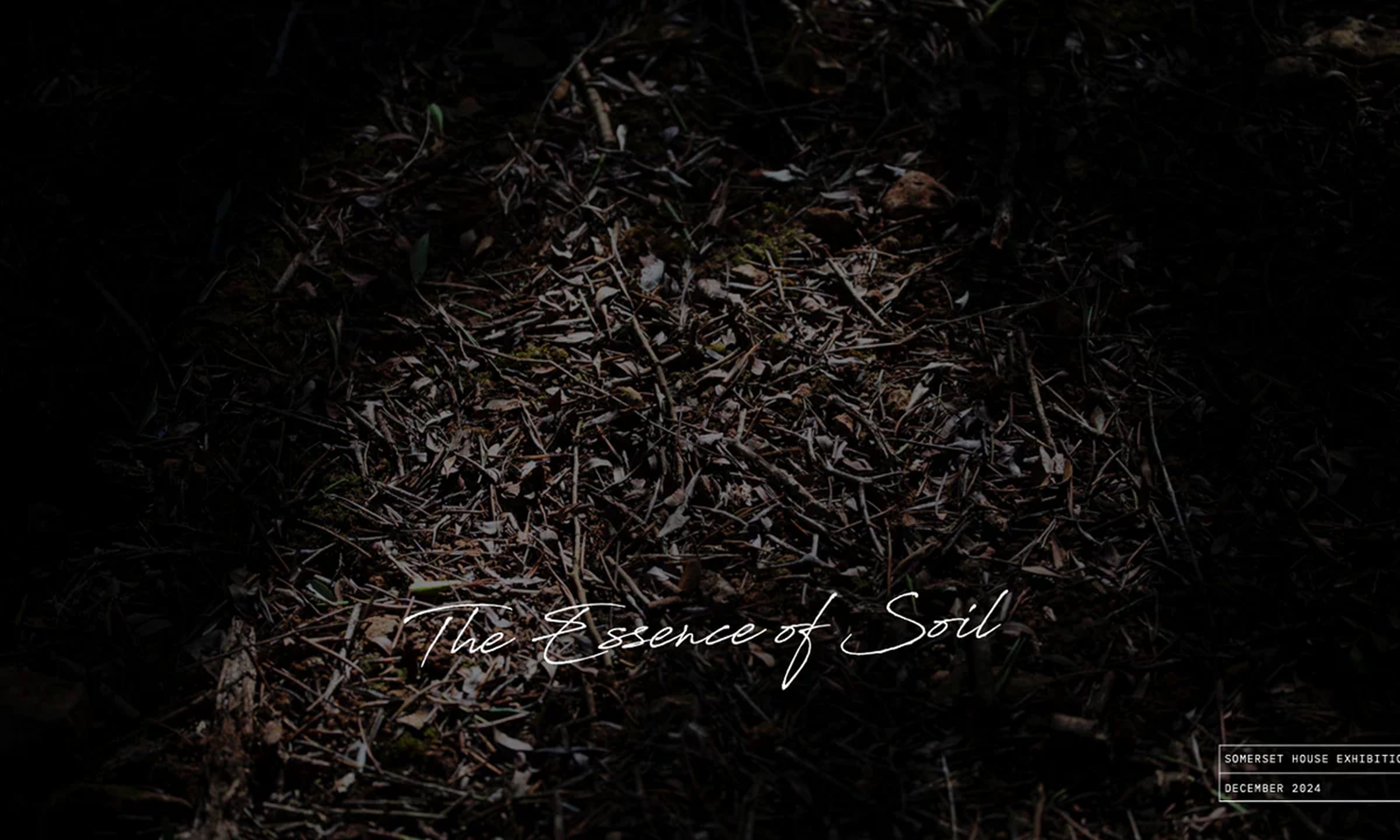 SOIL Exhibition at The Somerset House: A Reflection on Viti Vinci’s Art of Natural Fragrance