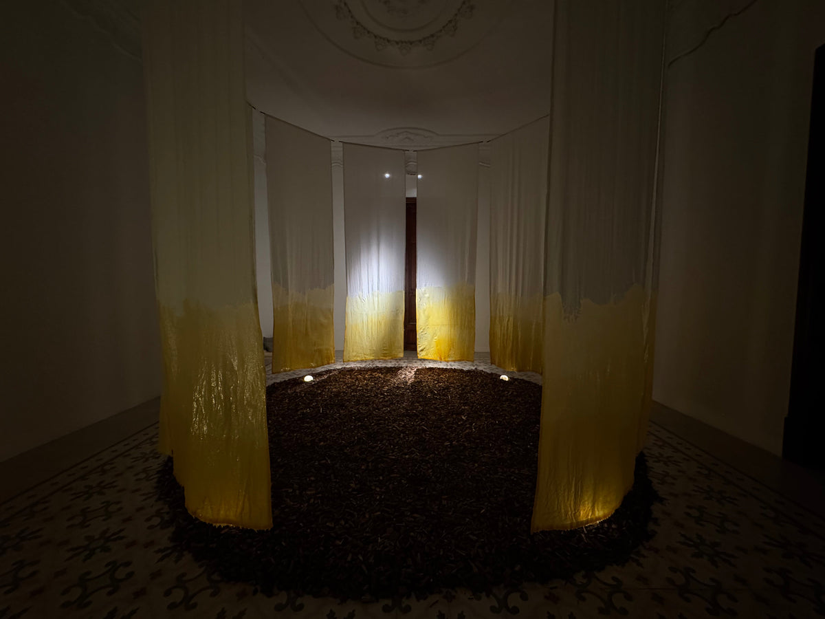 QUOD SEMINAS, METIS by Victor Alarcón
