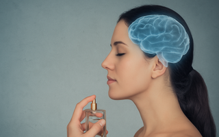 The Neuroscience of Scent: How Fragrances Shape Mood and Memory