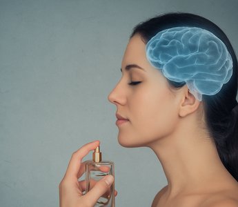 The Neuroscience of Scent: How Fragrances Shape Mood and Memory