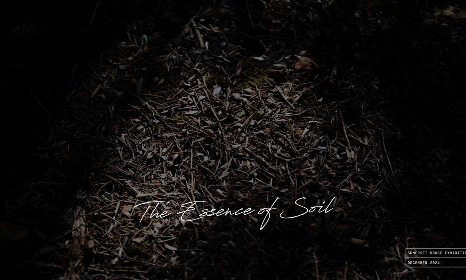 SOIL Exhibition at The Somerset House: A Reflection on Viti Vinci’s Art of Natural Fragrance