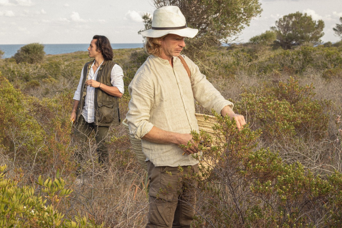 From Soil to the Bottle: The Journey of Sustainable Agriculture in Luxury Perfumes