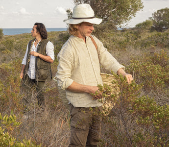 From Soil to the Bottle: The Journey of Sustainable Agriculture in Luxury Perfumes