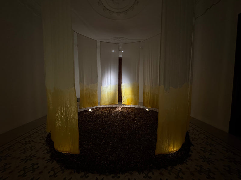 QUOD SEMINAS, METIS by Victor Alarcón