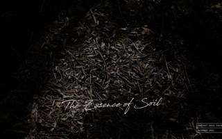 SOIL Exhibition at The Somerset House: A Reflection on Viti Vinci’s Art of Natural Fragrance
