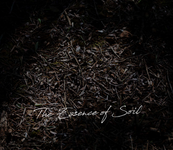 SOIL Exhibition at The Somerset House: A Reflection on Viti Vinci’s Art of Natural Fragrance