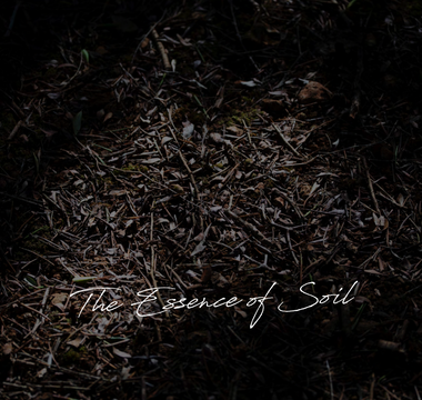 SOIL Exhibition at The Somerset House: A Reflection on Viti Vinci’s Art of Natural Fragrance
