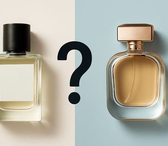 Niche vs Designer Perfume: What’s the Difference and Which Is Better?