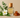 A Connoisseur's Guide to Leading Natural Perfume Houses