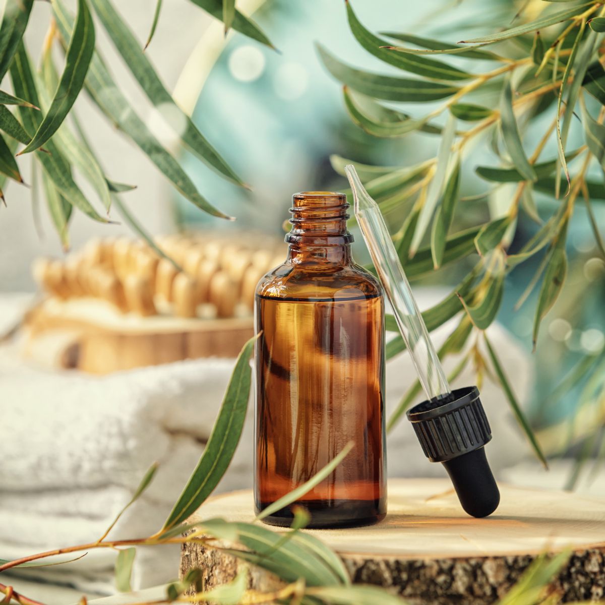 Behind the Scenes of Artisanal Perfumery: The Journey from Botanicals to Bottle