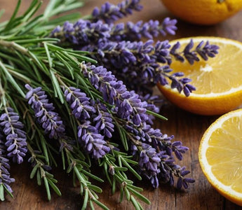 The Science Behind Aromatherapy: How Natural Scents Like Lavender, Rosemary, and Citrus Can Boost Your Mood