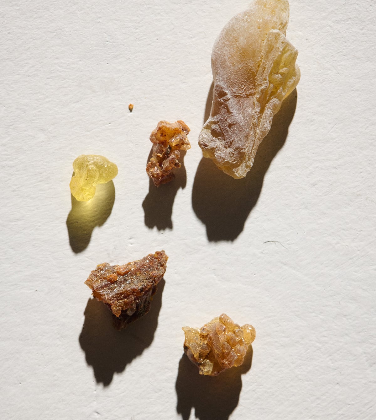Cata olfativa: La paleta mallorquina, aromas mediterráneos para la melancolía invernal